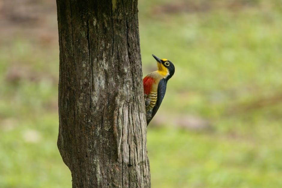 woodpecker thin rip guide