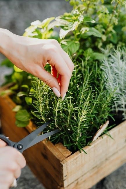 outdoor grow guide yield